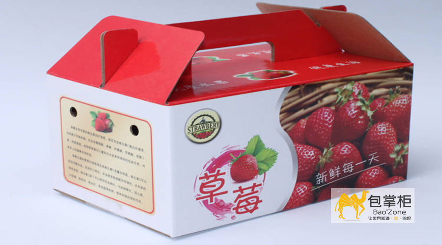 水果包裝設(shè)計(jì)