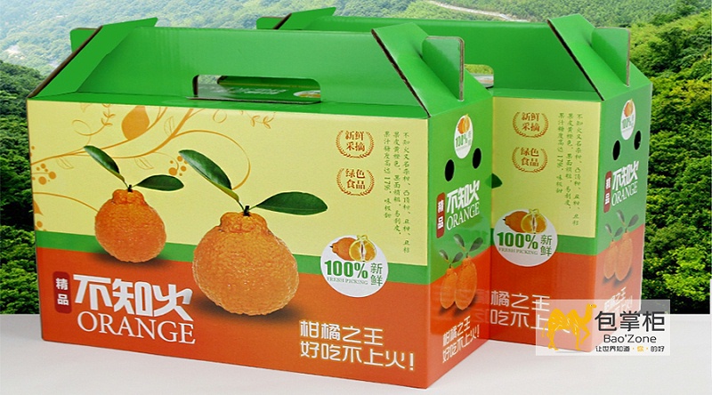 橘子包裝設(shè)計(jì)